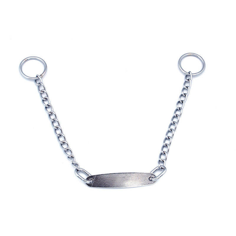 Pets Choke Training Collar Metal Dog Chain With Name Tag