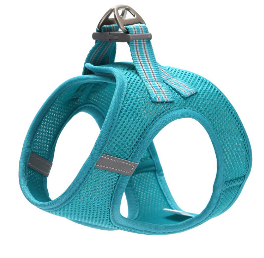 big cat harness