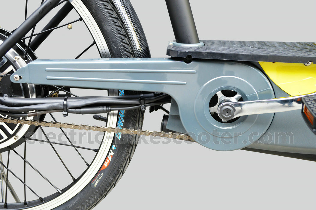 36V 350W Pedal Assist Electric Bike 24 Inch Wheel V Brake Rear Brushless Motor
