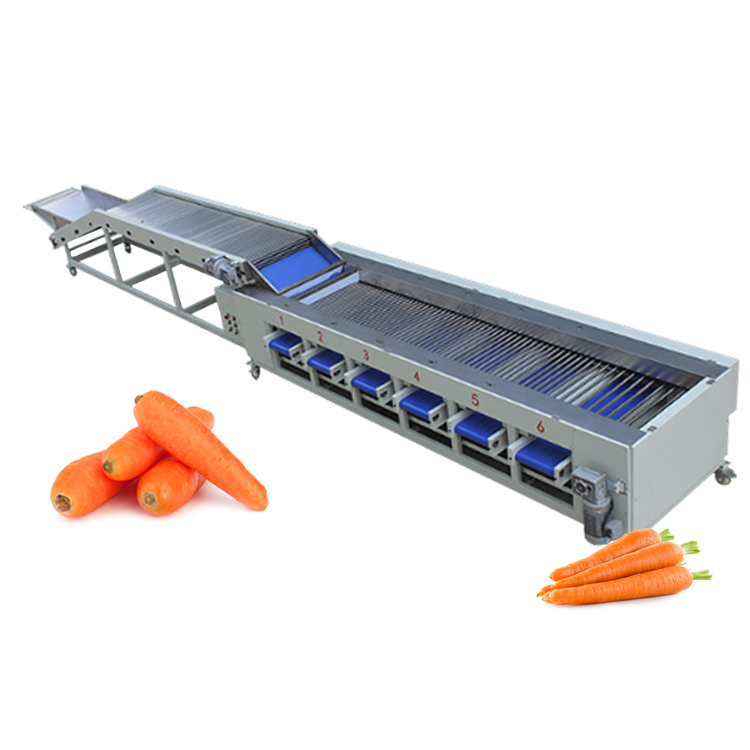 1.85KW Fruit Vegetable Processing Equipment Cucumber Carrot Sorting Machine