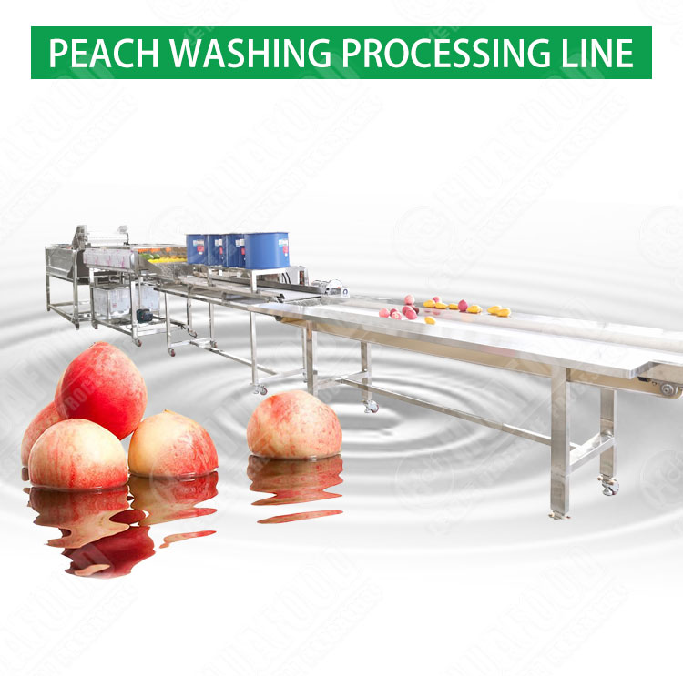 Hot selling Factory Direct Sales Conveyor Belt Vegetable Washer by Huafood