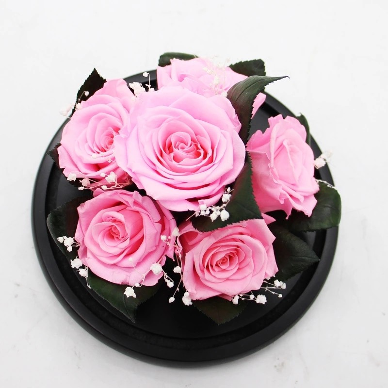 Real Preserved Rose in Glass Dome use for Office gift or Home Decoration
