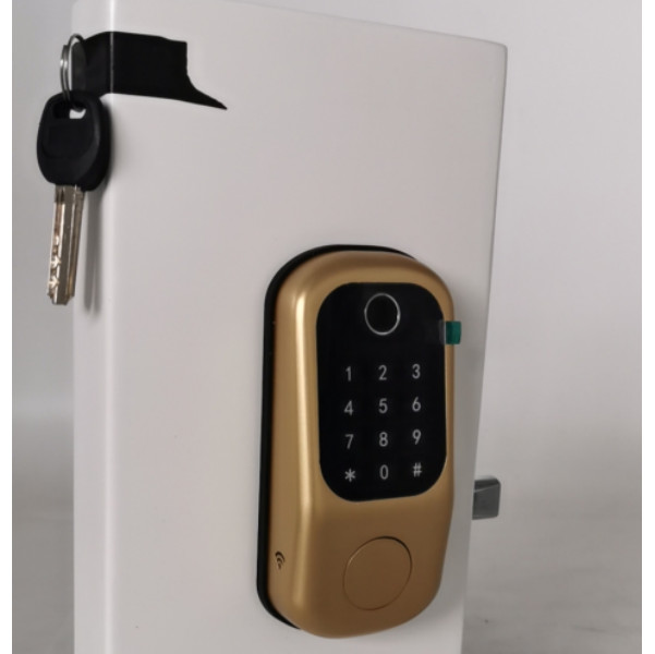 Semiconductor Fingerprint Electric Smart Lock Multi Function