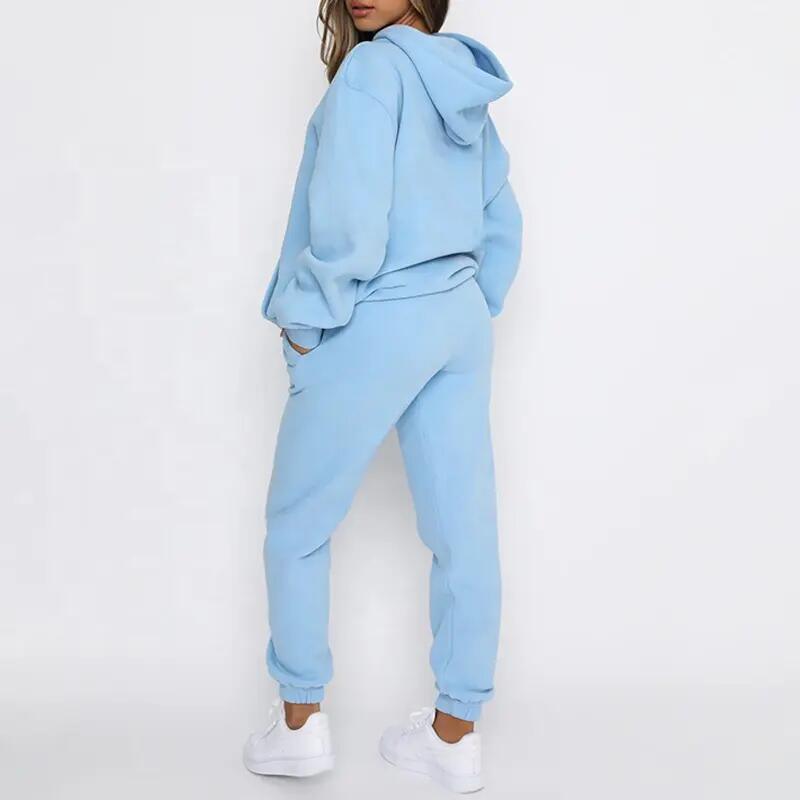 Custom Logo Winter High Quality Casual Wool Sweatpants and Hoodie 2 Piece Sets Fitness Solid Color Cotton Fleece Women Tracksuit