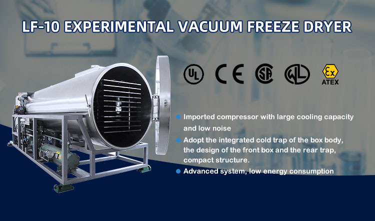 380V/50HZ Vacuum Food Freeze Dryer Industrial Lyophilization Machine