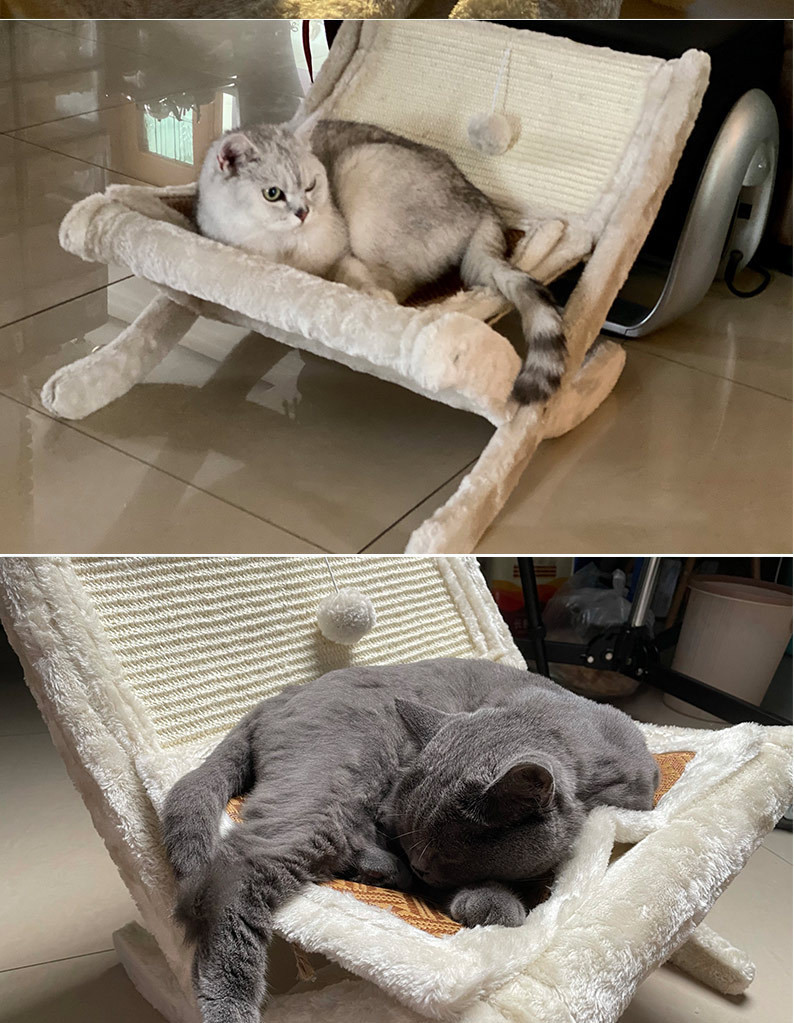 Pet Cat Sofa Bed Sunbathing Chair Sleeping Recliner Cat Scratching Board Cat Scratching Board
