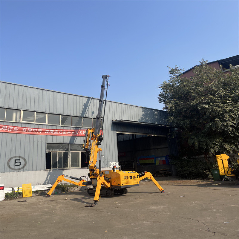 Electric and Diesel Power Spider Crawler Crane for Tough Jobs