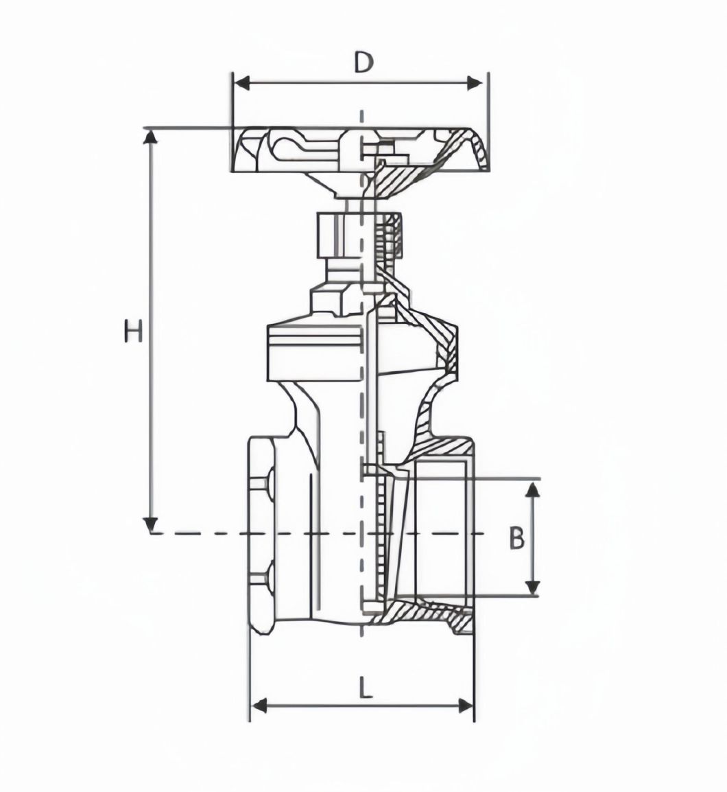 Stainless Steel Internal Thread Gate Valve Handwheel Gate for Water Pipe Pump
