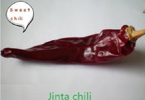 Grade A Dried Guajillo Chili 12cm Chile Guajillo Heb No Speckle