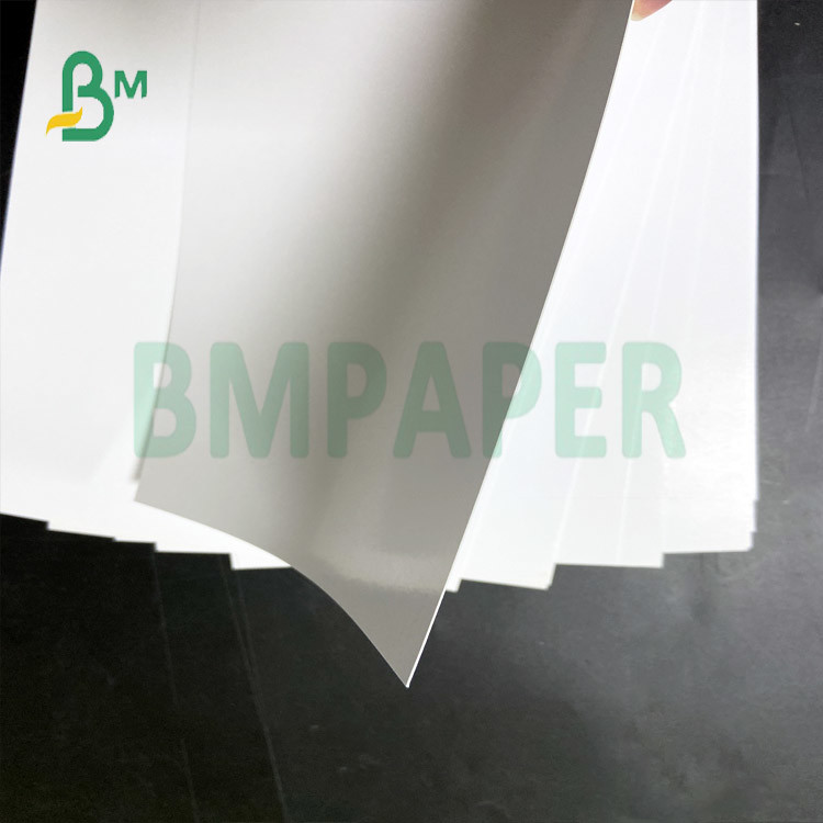  Rolls Packing Regular 787mm Glossy Art Paper for Children's Books