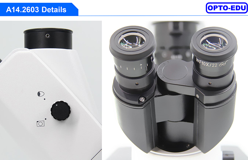 OPTO-EDU A16.2614-UL China Supplier High Brightness Inverted Ultra LED Fluorescent Microscope Price