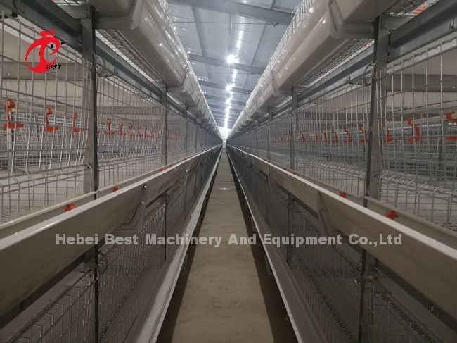 Automatic Feeding Broiler Battery Cage System For Farming Save Space Emily