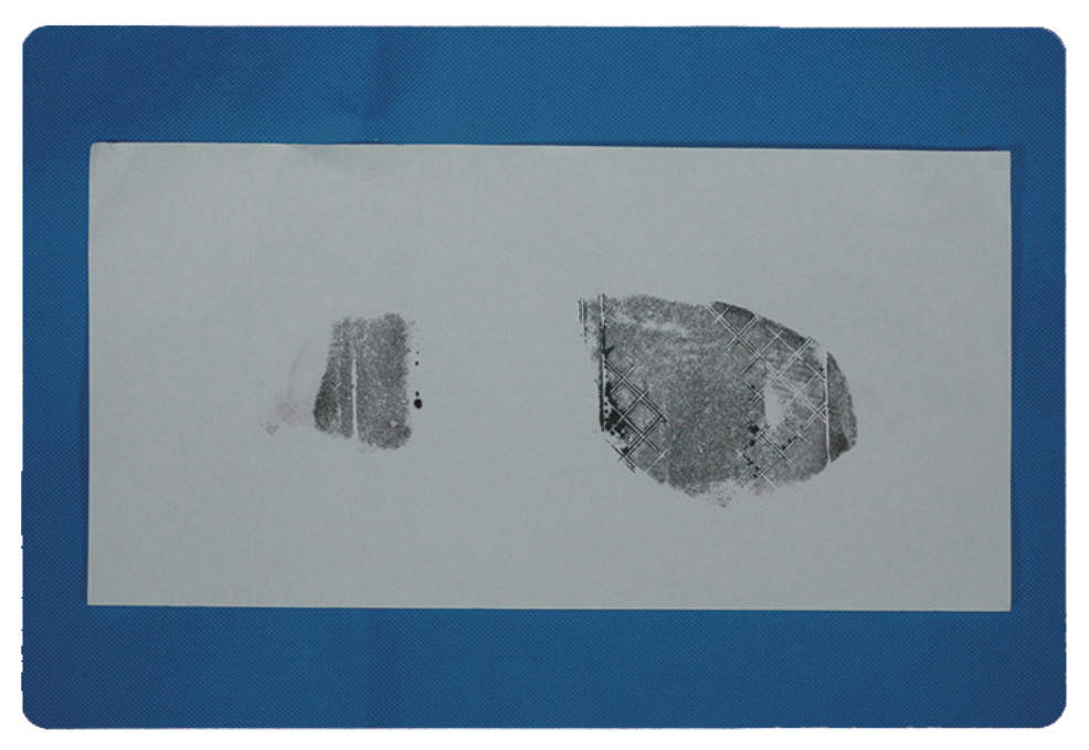 G039 BTZY-I Footprint sample collection ink pad