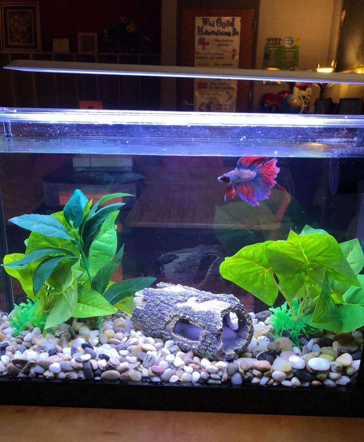 Wood House Betta Fish Aquarium Decoration Items
