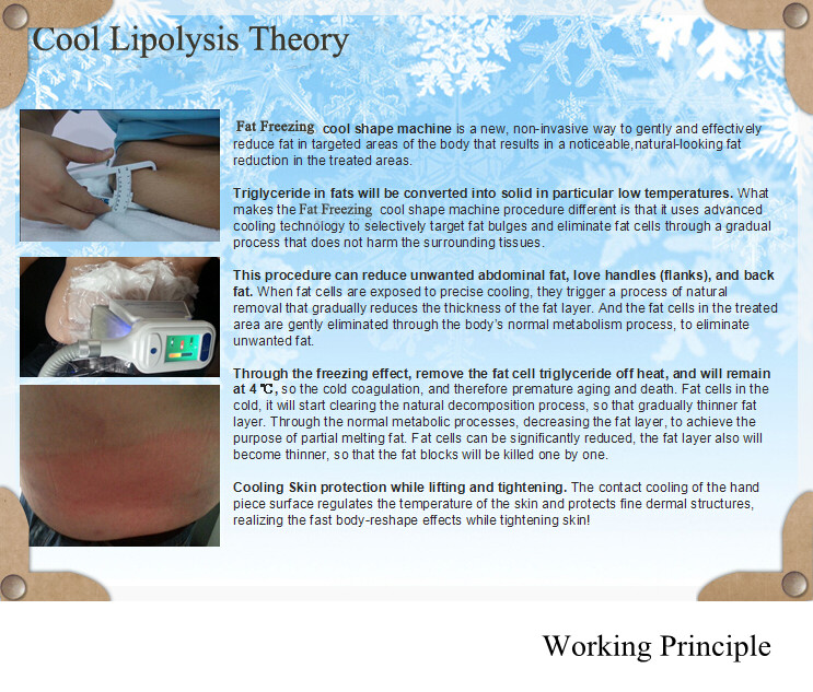 2016 the best cryotherapy machine for weight loss and body slimming