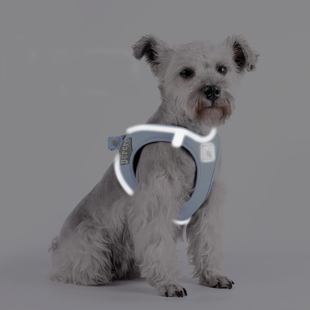 xs kitten harness 