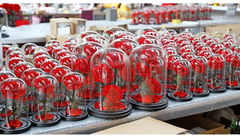 Preserved Flower Eternal Rose in Glass Long Lasting Flowers Home Decoration Everlasting Flowers