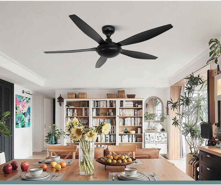 ceiling fan