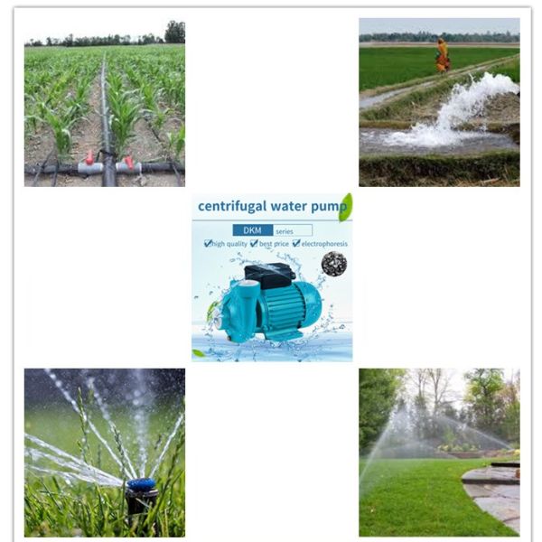 Single Stage Horizontal Centrifugal Water Pump Electrophoresis 2DKM-20 Wide Flow