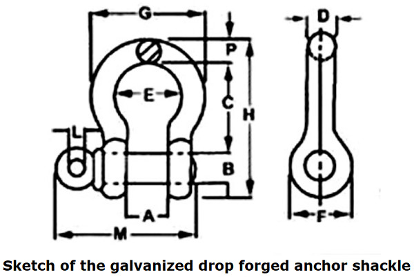 3/16 Inch Galvanized Drop Forged Screw Pin Type Shackle Screw Pin Anchor