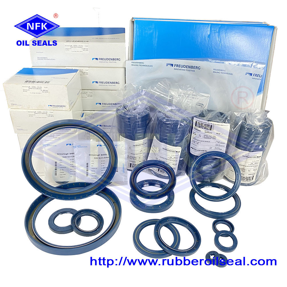Original Germany Cfw Oil Seal 45 62 7 Spot Goods Ntr Oil Seal Low Price Hydraulic Oil Seals