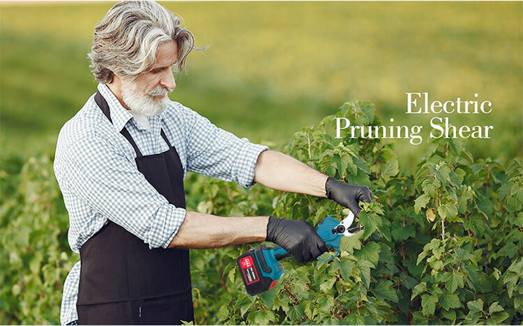 2024 Cordless Battery Operated Branch Cutter Electric Powered Pruning Saw Pruners Branch Lopper
