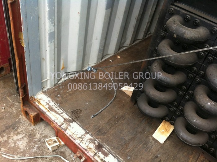 25 Ton Steam Boiler Economizer Cast Iron Coal Biomass Fired Boiler Economizer