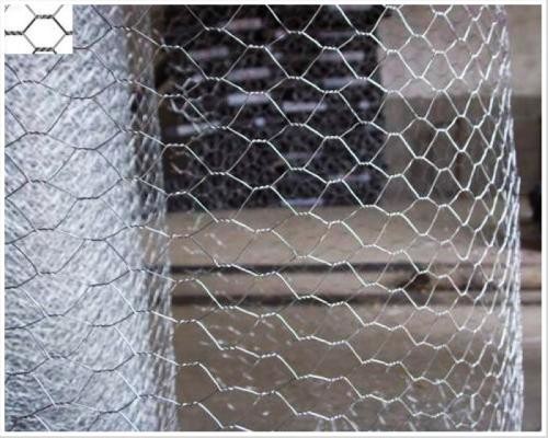Reverse Twist / Normal Twist Hexagonal Wire Mesh For Chicken Cage Or Garden