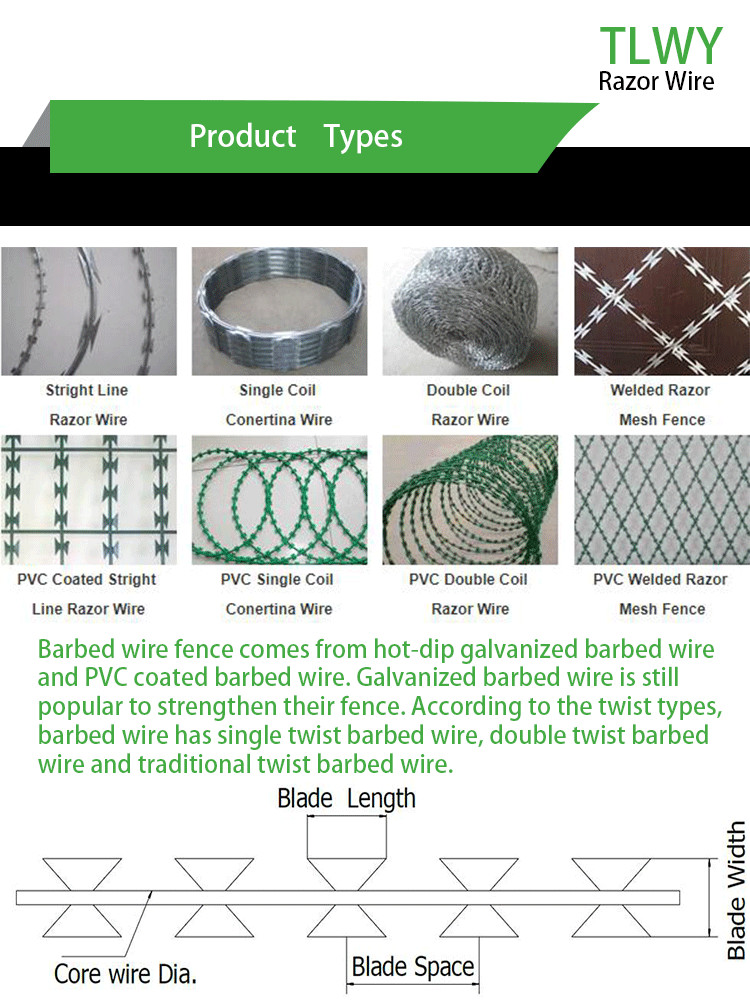 TLSW Anping BTO-10 2.5 Mm Barbed Razor Wire Fencing Rot Proof