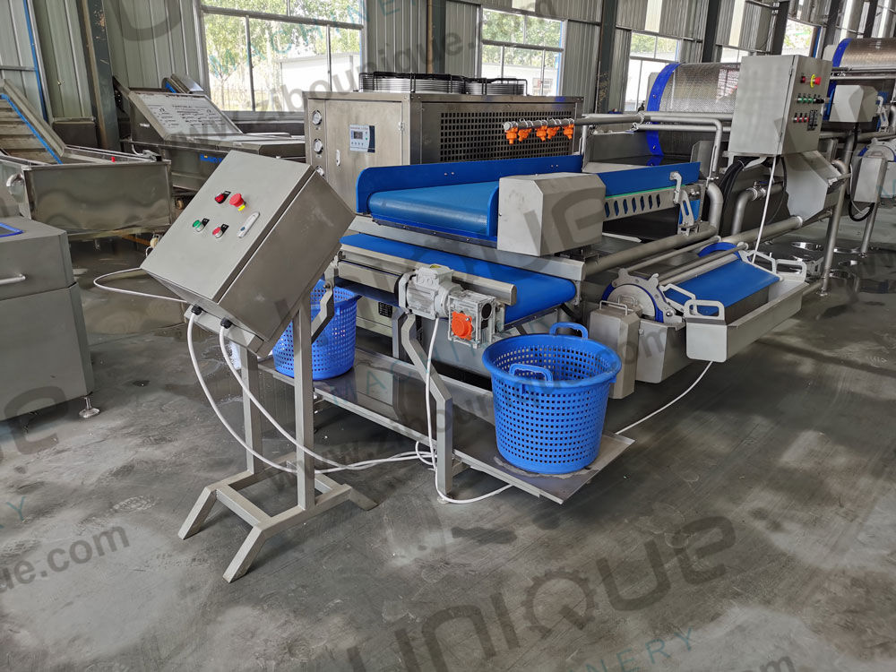 Salad Processing Made Easy Vegetable Washing Machine for Baby Spinach Lettuce Cabbage