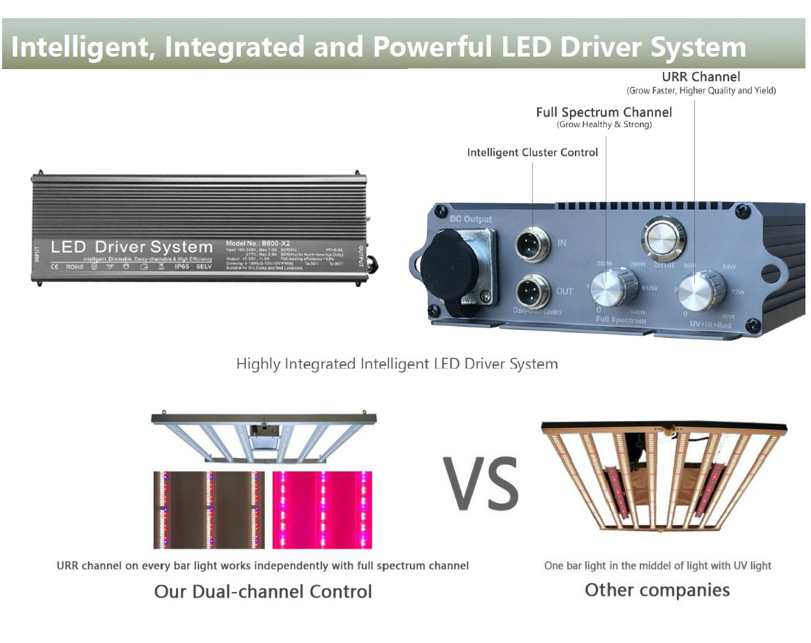 Dimmable Hydroponic Grow Lamps 2.9umol/J 265V Hps Grow Lights 1000 Watt