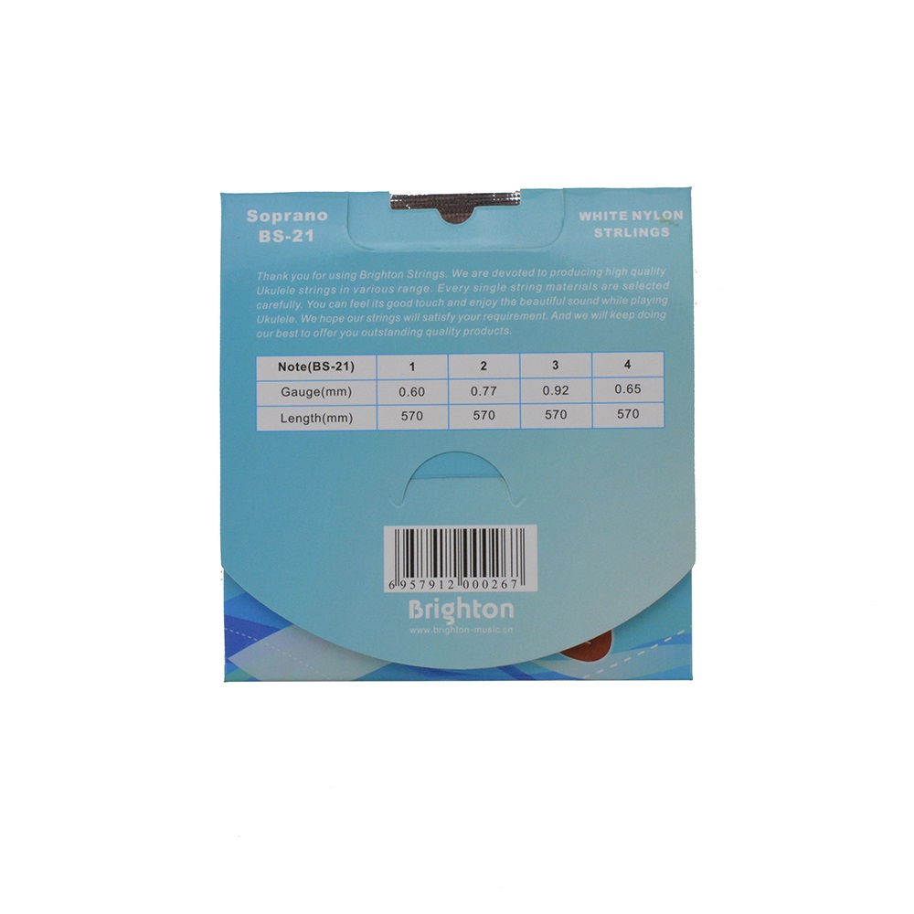 BS-21 electric guitar strings in bulk Wholesale electric guitar string in bulk classical guitar strings