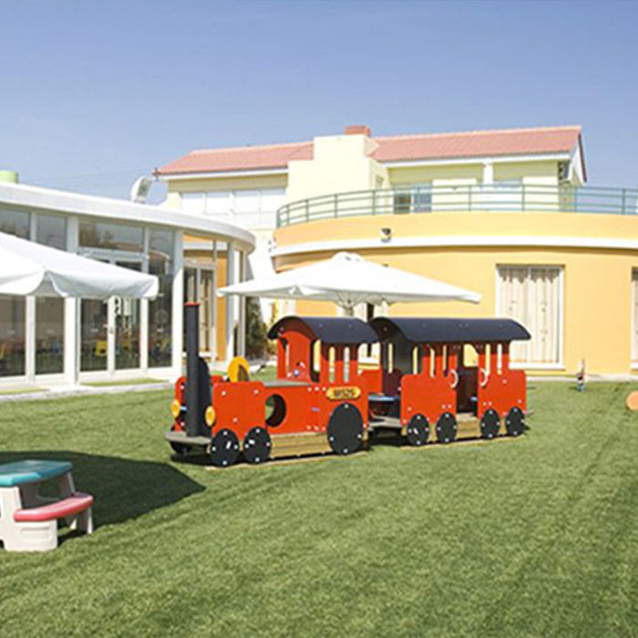 Straight Plus Curved Non Infill Artificial Turf 43mm Low Maintenance Wear Resistant High Permeablity