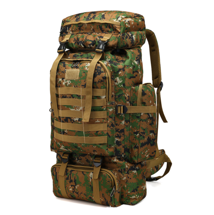 Customized LANDSCAPE Pattern Type 80L Backpack for Outdoor Sport and Camping