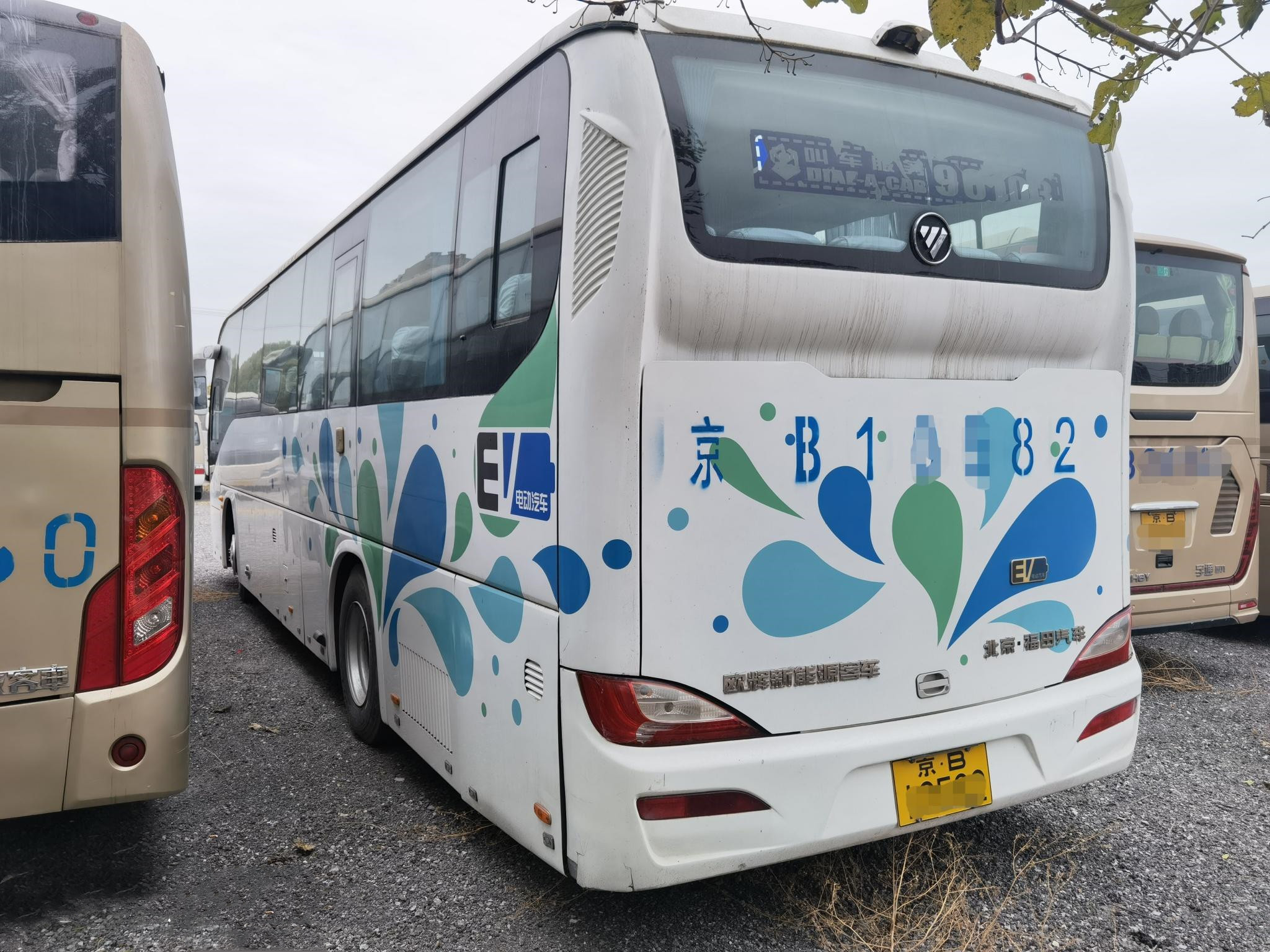 Used Tour Bus Foton Rear Engine Coach Bus 47 Seats Passenger Bus For Sale