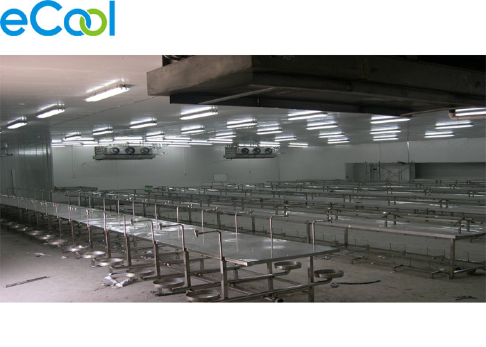 Automatic 2000 Tons Meat Processing Plant Cold Room Storage For Meat Products