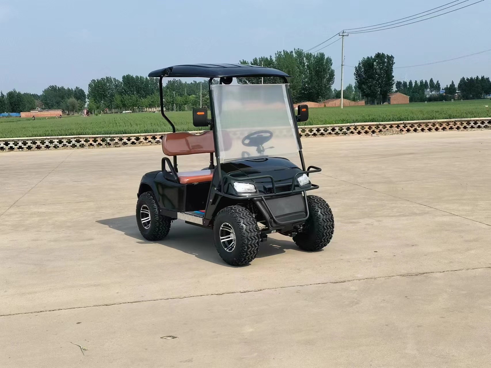 Off-road 2 Seater Golf Buggy Rechargeable Good Quality Golf Sightseeing Car