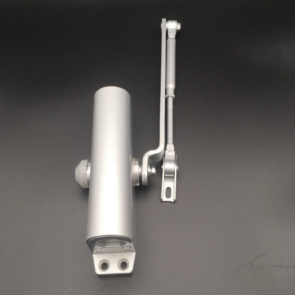80kg Door Soft Close Door Closer with Heavy Duty Hydraulic System Sliver/Customized