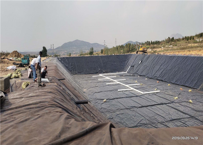 Thickness 0.5mm High Density Polyethylene Geomembrane Hdpe Fish Pond