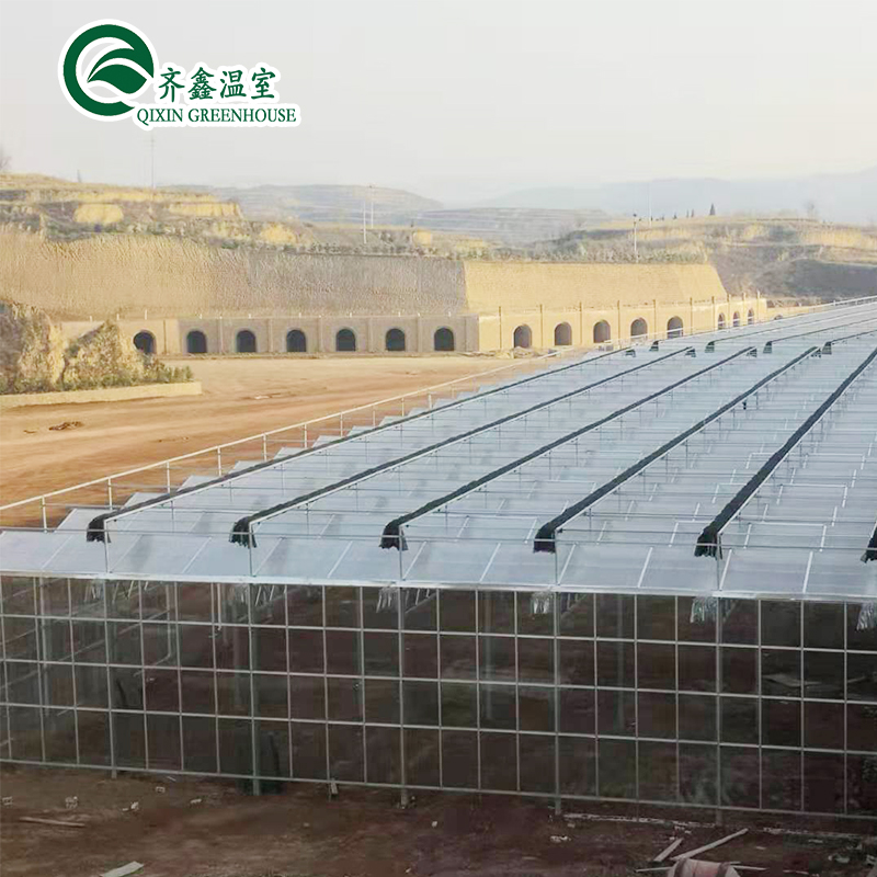 Large Customized Agricultural Glass Greenhouse with PVC Hydroponic Gutter System