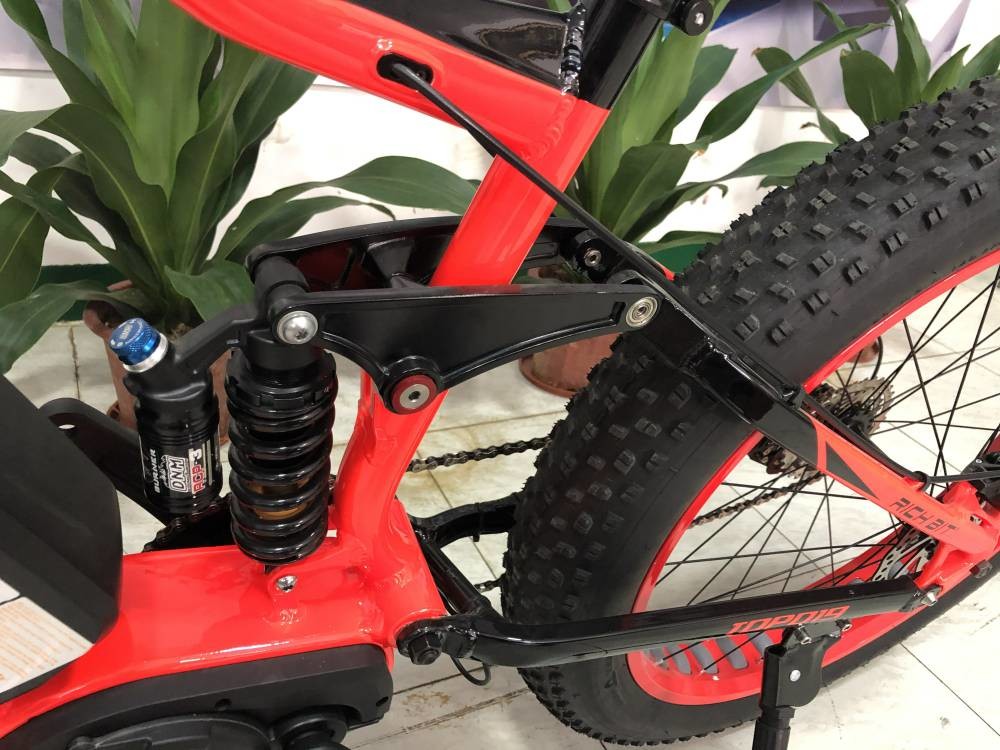 Bafang Full Suspension Mid Drive Ebike Fat Tire Snow Bike 48v 1000w 13Ah