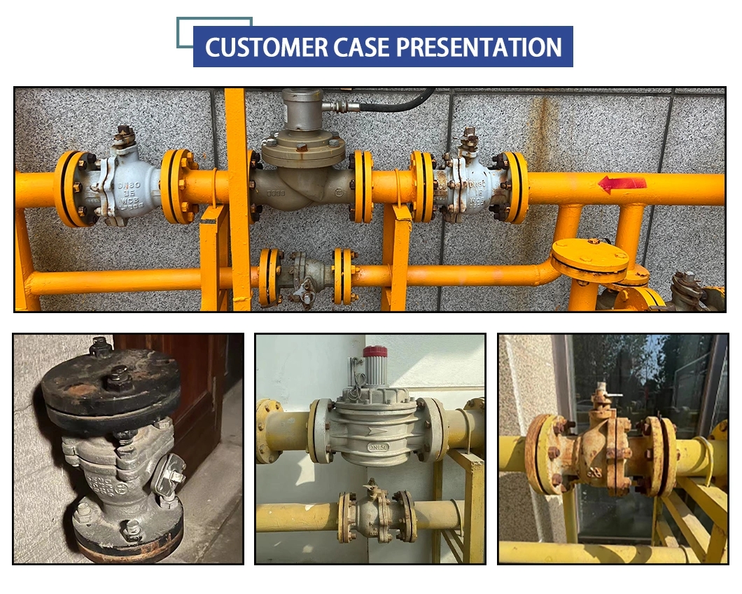 Pn16 DN65 CF8 Stainless Steel Flange Ball Valve with After-Sales Service Support