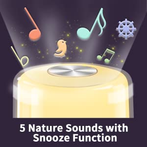 Sounds Adjustable 256RGB Color Silentnight Sunrise Sunset Alarm Clock Touch Control