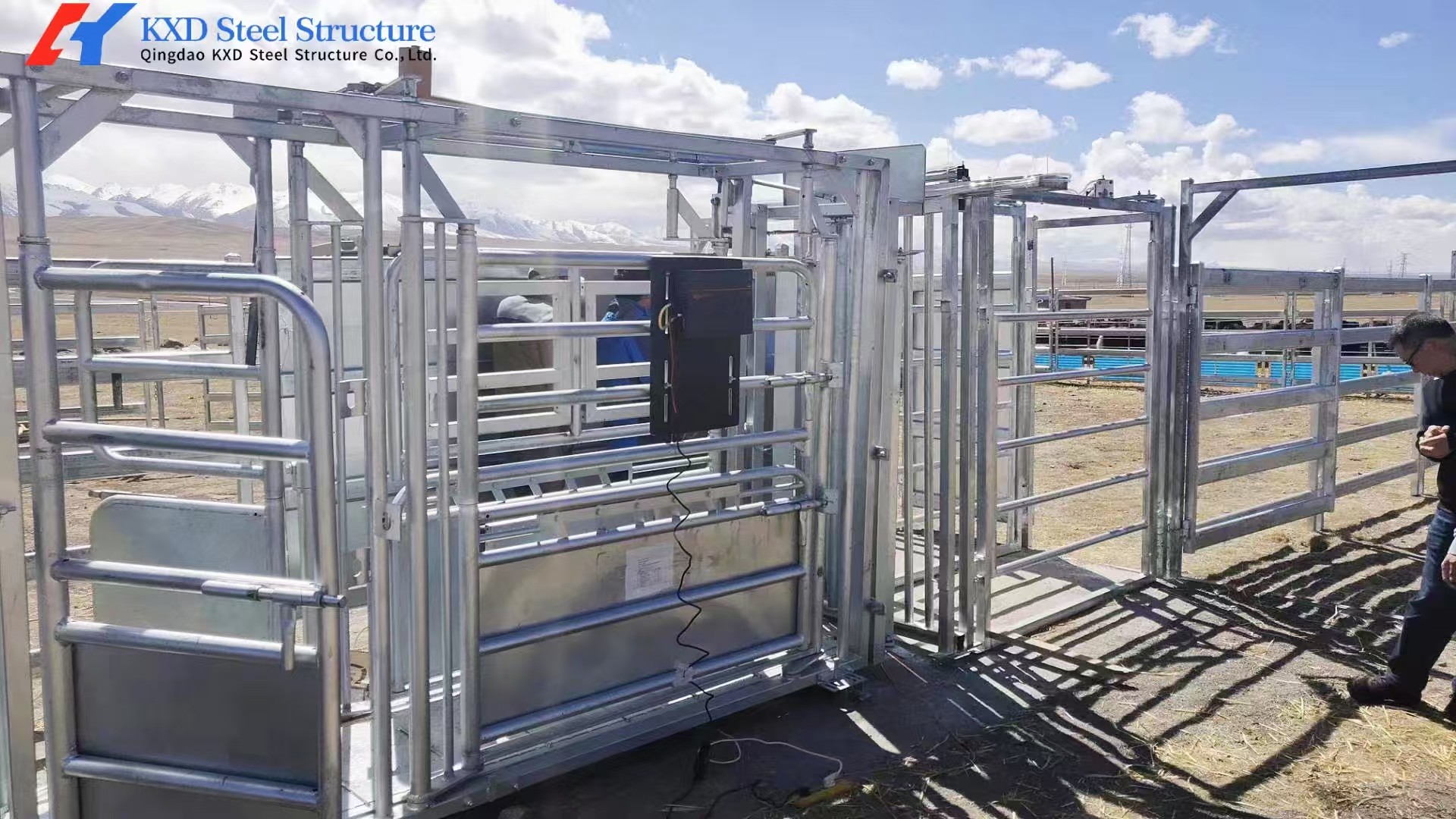 Steel Frame Cattle Sheds Dairy Cow House Hanging Type Exhaust Cooling Fan