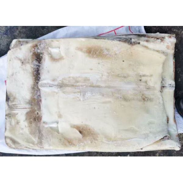 Bqf Squid Dried Fish Frozen Huge Size Store Condition -18 Degree C