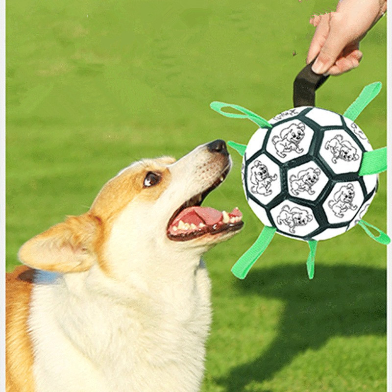 best dog soccer ball 