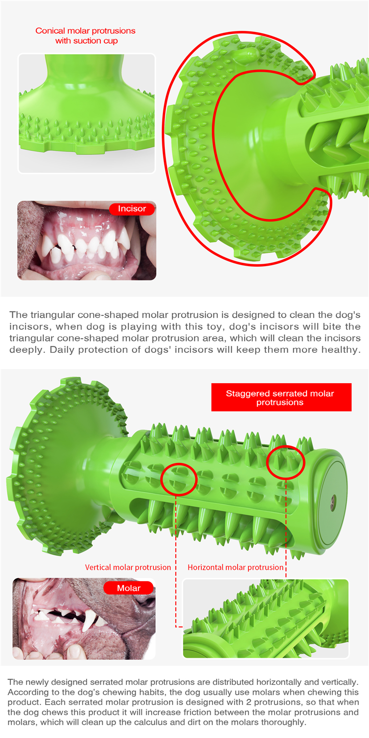 Professional Manufacturer Supply Classical Tpr Dog Squeaky Sounding Toothbrush Dog Interactive Toy