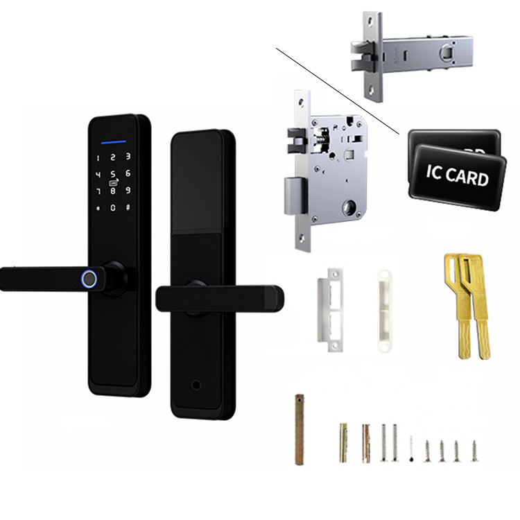 Aluminum Alloy Tuya App Door Lock