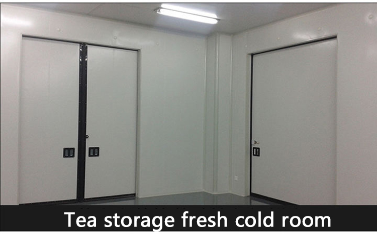 Lower Temperature Storage Container Cold Room Single Phase 800ton -40℃ ~ +20℃