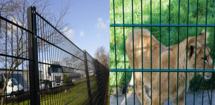 OEM Twin Wire Double Loop Wire Fencing with Square Post 50*100mm